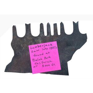 Antique Lumberjack Saw Late 1800s From Balch Park CA